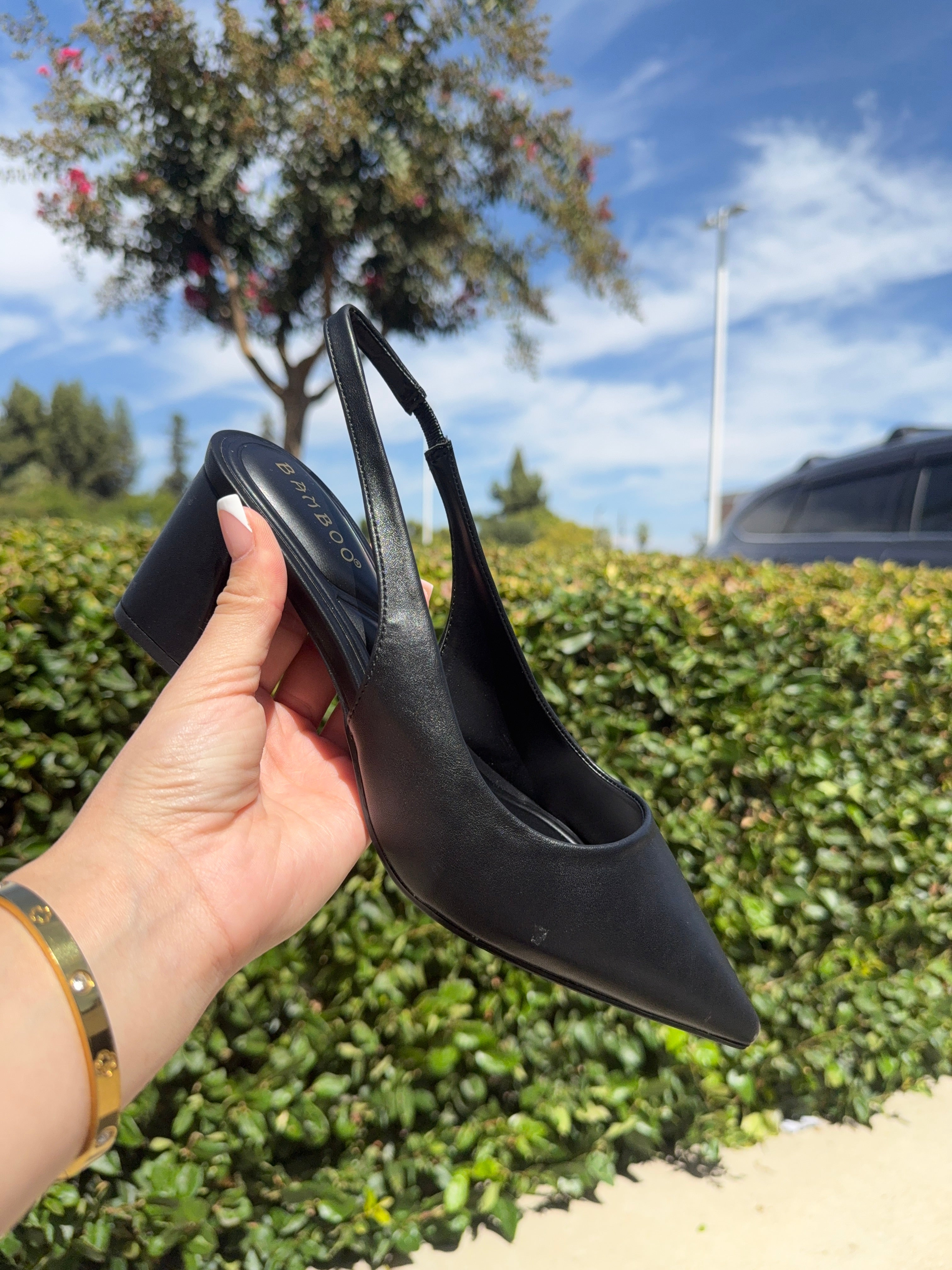 Star Heels