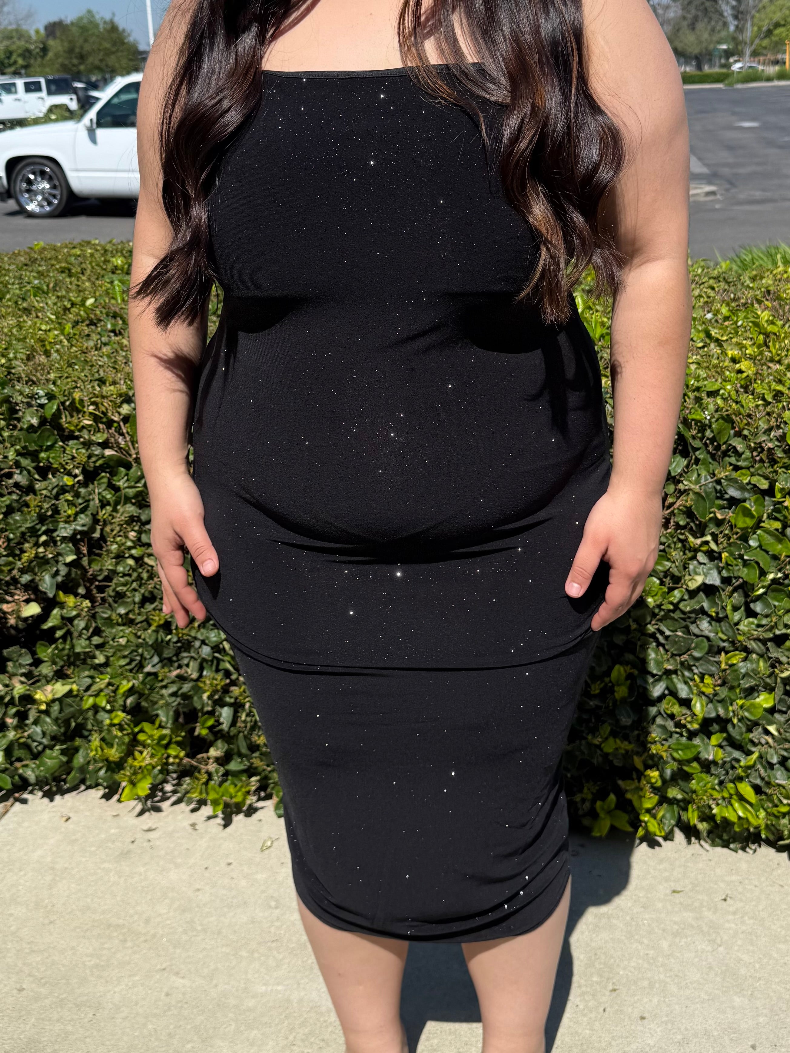 Sparkly Plus Size Dress