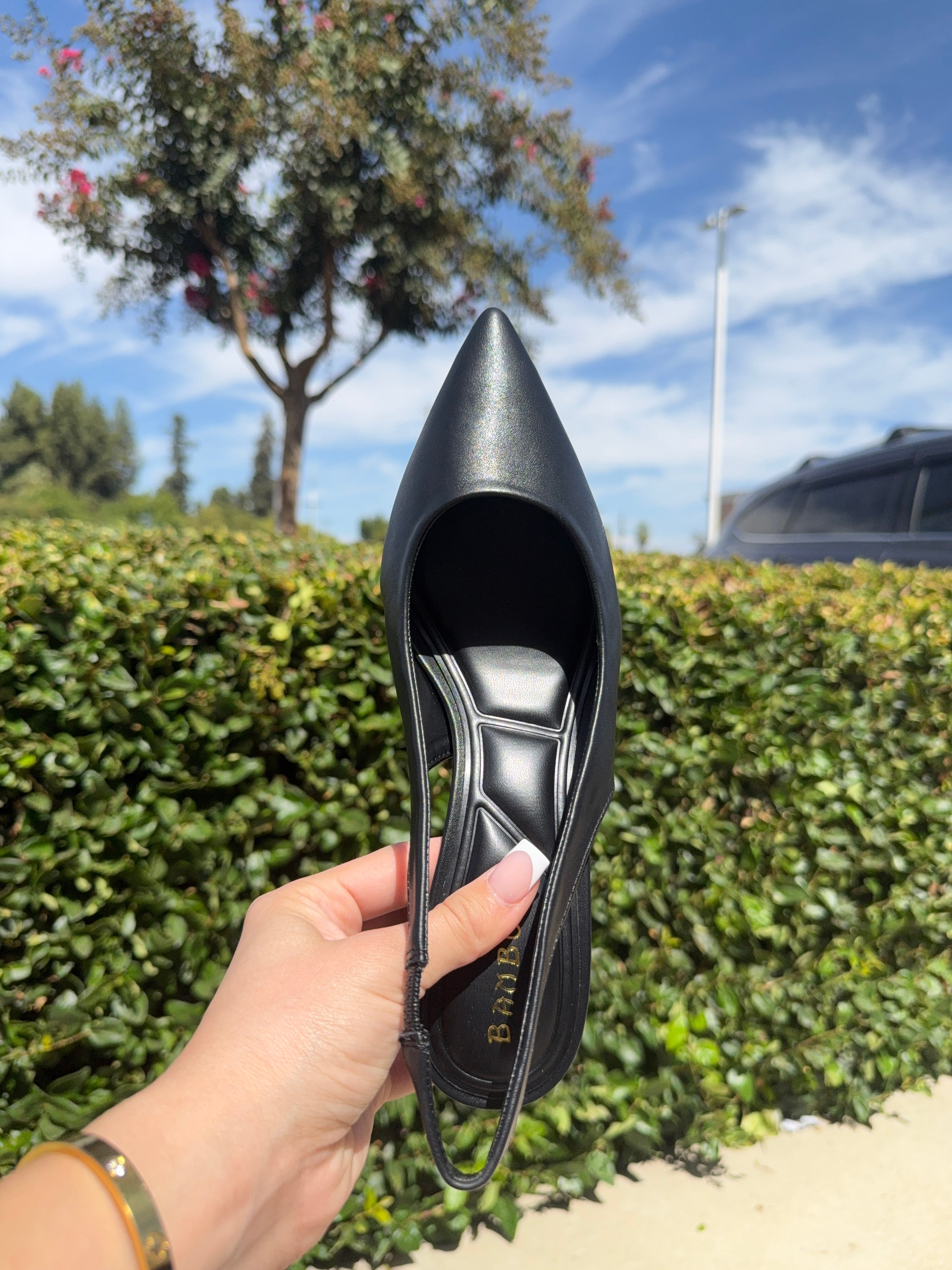 Star Heels