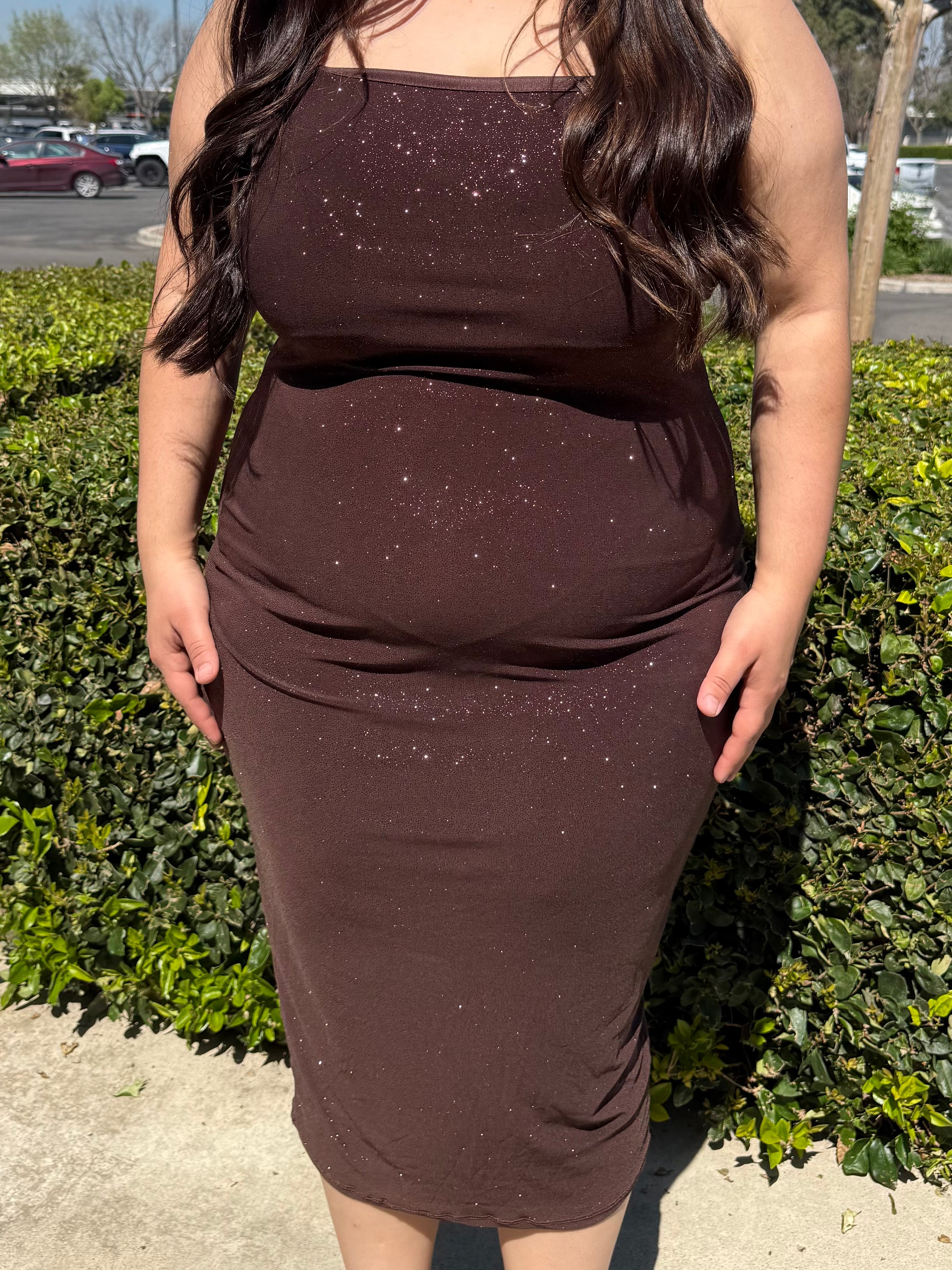 Sparkly Plus Size Dress